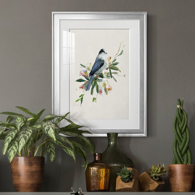 Spring Spring Gray Jay - peinture encadrée