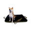Lit pour animaux de compagnie Gus, sable-1710491541-1710491540