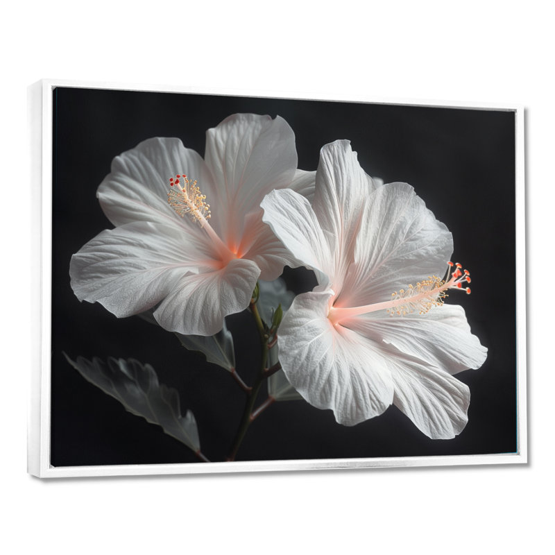 Hibiscus blanc botanique blanc cristal - Hibiscus, reproduction d'art murale, Toile encadrée flottée blanche