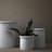 Kruset Pot