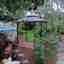 Photos des clients 1 de 1