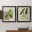 Impression encadrée Elegant Tropicals IPremium - prête à être accrochée-84713492-84878295-84713512