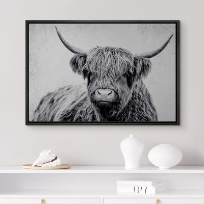 Portrait d'animaux sur fond blanc