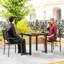 Outdoor Patio Dining Armchair
