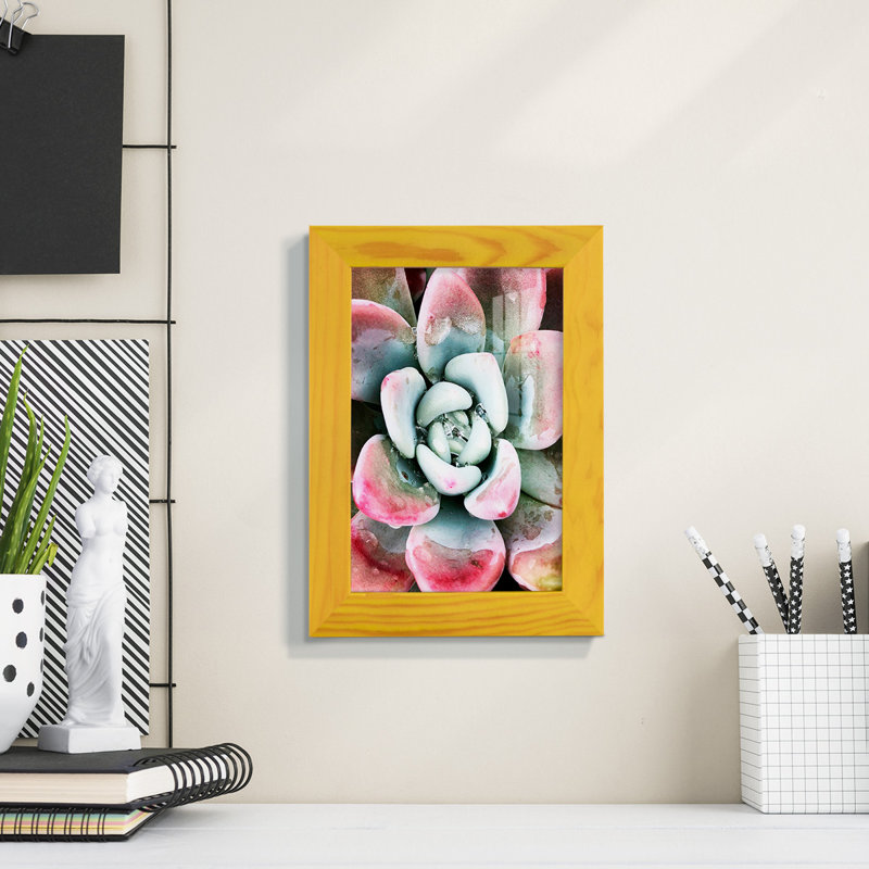 Pastel Succulent Beauty V, reproduction d'art sur papier, H 6 po x l 4 po x P 1 po, Jaune