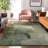 Premium Machine Washable Prisco Green Rug-914083804