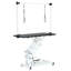 Table de toilettage hydraulique 43 po réglable
