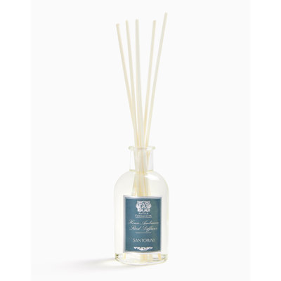 100ml Diffuser