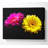 Pink And Yellow Gerbera Delight - Wrapped Canvas Print-546905467