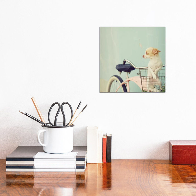 Dog On Pink Bike Square by Mandy Lynne - Wrapped Canvas Painting, 30.48 cm H x 30.48 cm W