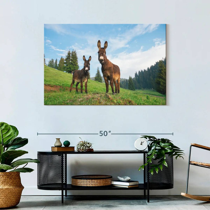 Brampt Wild Transylvanian Donkeys, 30'' H x 45'' W