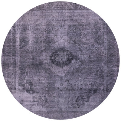 Oriental Indoor Rug