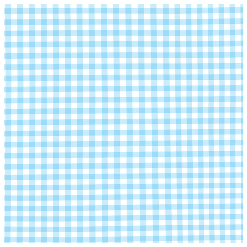 Blue White Gingham Quilted Bedspread All Sizes, Twin