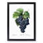 Blue Grapes by Pierre-Joseph Redoute - Picture Frame Graphic Art Print-55545310-55545309