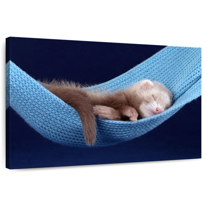 Brampt Ferret Hammock