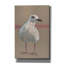  «Seagull And Pink Fence» par Bebe Keith, art mural sur toile, 26 po x 40 po