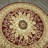Anoush Oriental Indoor Rug-1559394678