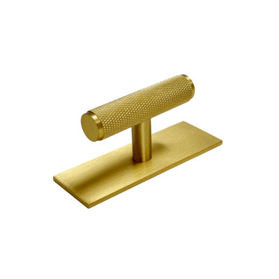 Brass Knurled "Texture Backplate" T-Knob with Backplate