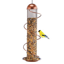 Birds Choice Hanging Seed Cylinder Bird Feeder