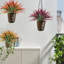Lot de 8 plantes artificielles de 43 cm (17 pouces) résistantes aux UV, fausse verdure tropicale pour la décoration intérieure et extérieure-238655358