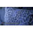 Destiny Dark Blue Comforter Set-31590676