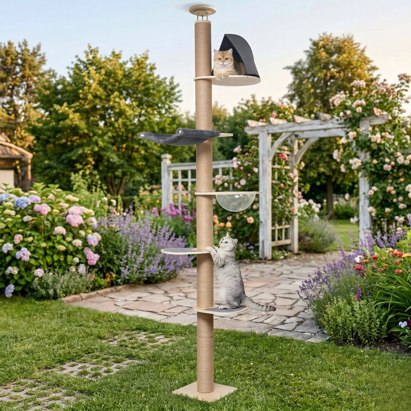 Arbre à chat du sol au plafond, hauteur réglable de 5,7 à 9,8 pi à 6 niveaux, tour d'escalade, poteaux à griffes épaissis, centre d'activité pour chat, capsule transparente, hamac confortable