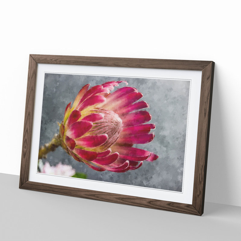 Pink Protea Flower - Framed Print, 27cm H x 36cm W x 2cm D, Walnut Framed