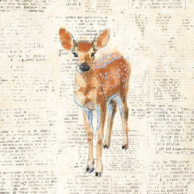 Into The Woods III No Border by Emily Adams - Wrapped Canvas Print