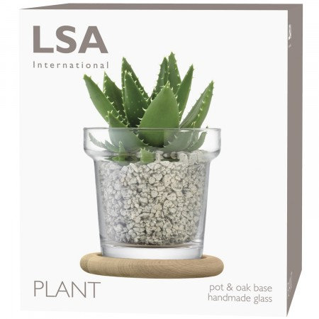Round Glass Planter