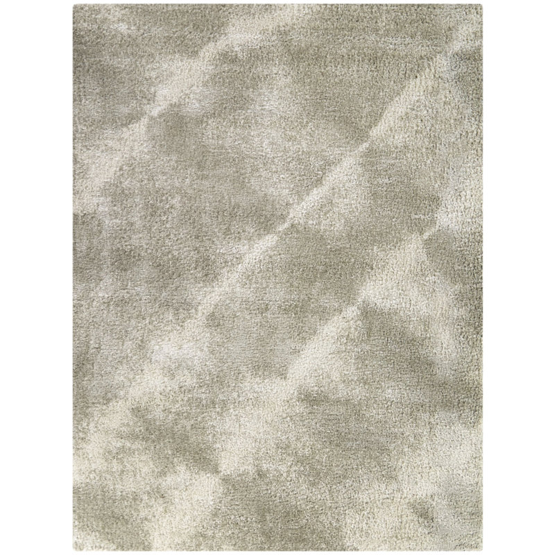 Shandie Abstract Indoor Rug