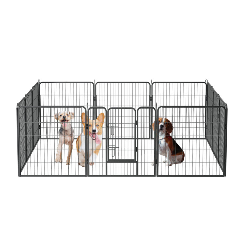 Clôtures pour chien 32 po de hauteur pliable et 12 panneaux pliables en métal pour chien