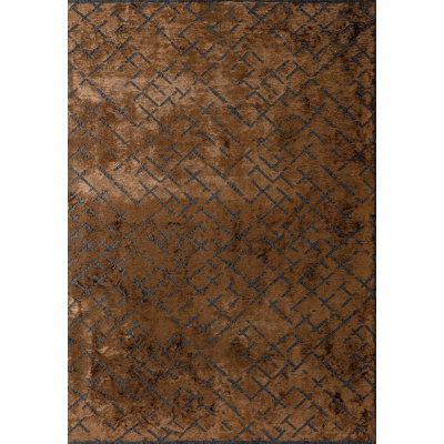 Rapture Abstract Area Rug in Brown