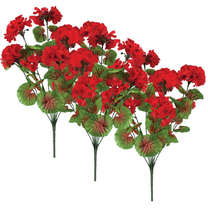 Ensemble de 3 géraniums rouges toutes saisons OakRidge