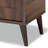 Cormier Mid Century Modern 2 Door Wood Entryway 10 Pair Shoe Storage Cabinet