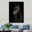 Black Horse Face Print-24078556