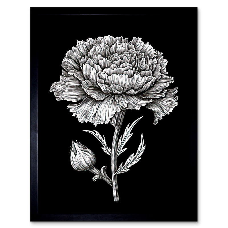 Aamil Carnation Flower Black And White Linocut Print - Single Picture Frame Print