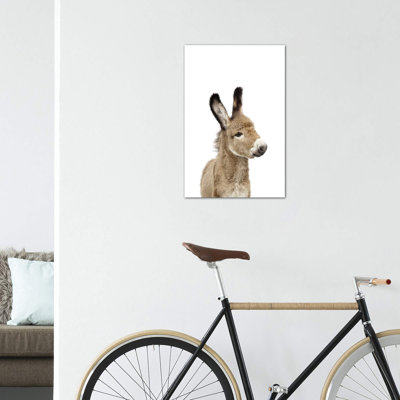 «Baby Donkey» par Sissi & Seb - reproduction de photo