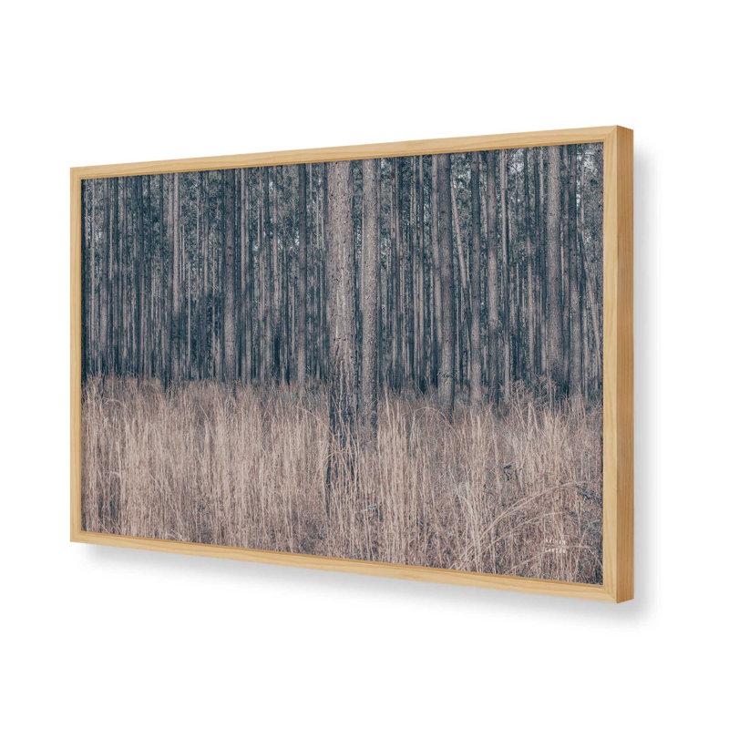 «Stitched» par Nathan Larson, reproduction d'art, Tanné, H 12 po x l 18 po