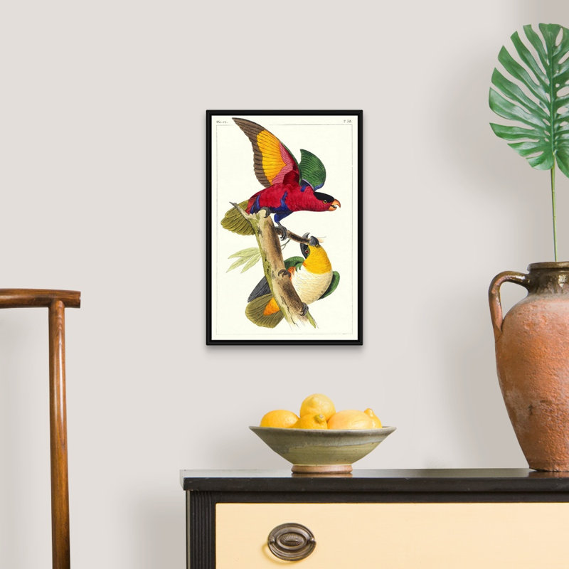 «Lemaire Parrots I», art mural sur toile, H 20 po x l 14 po x P 2 po, Toile encadrée noire