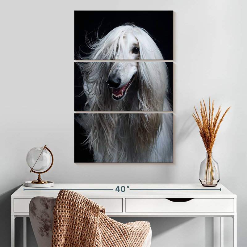 Brampt Long Haired Afghan Hound, 32" H x 20" W