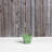 Alaunah Pot Planter-840690748-840690751