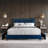 Jannean Upholstered Platform Storage Bed-1871444409-1871444550