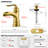 Single Hole Bathroom Faucet with Drain Assembly-60151897
