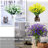Mixed Assortment Arrangement-1616388577