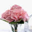 Jets rose et hortensia-381140283