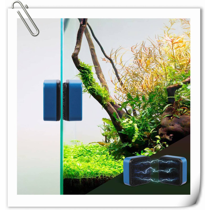 Everetta Aquarium Accessory