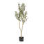 47 po Olive artificielle