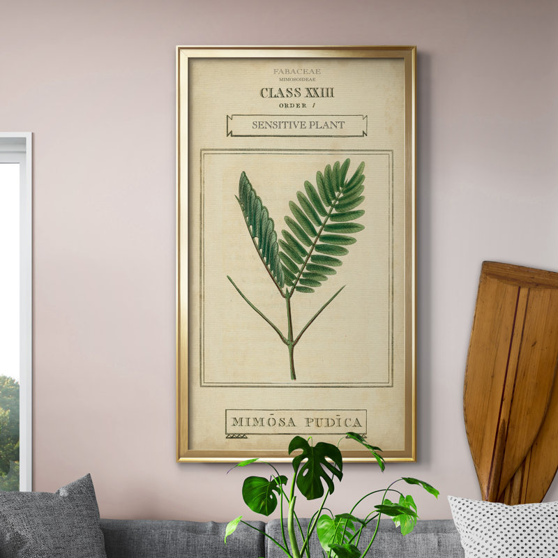 Linnaean Botany IV - Peinture sur toile encadrée, H 14,5 po x l 26,5 po x P 1,5 po, Doré