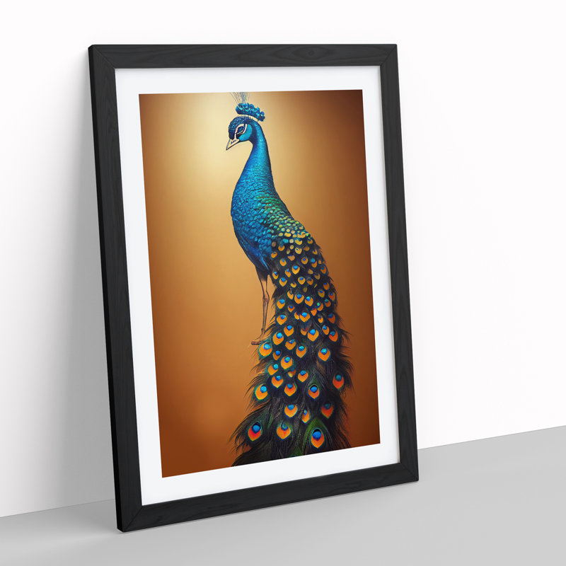 Shimmering Peacock - Framed Print, Black Framed, 34cm H x 25cm W x 2cm D