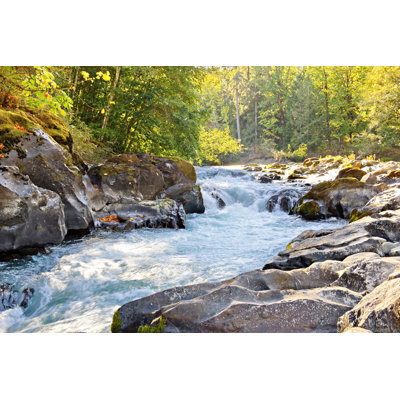 Cowichan River Provincial Park by Simplyphotos - Wrapped Canvas Print